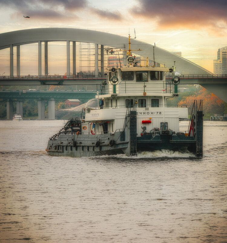 Рабочая лошадка. - Владимир Владимир