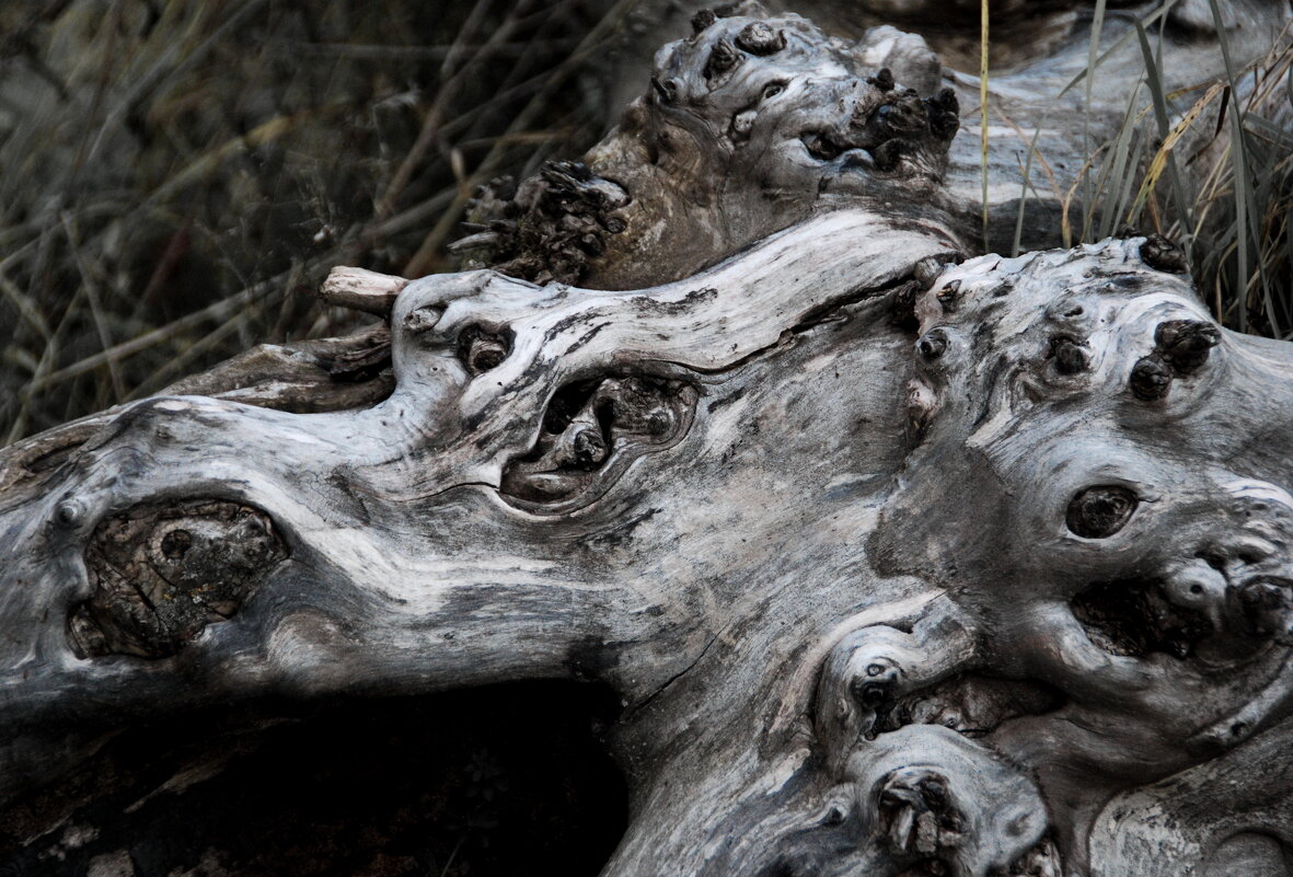 МУКИ АДА - Юрий Вовк