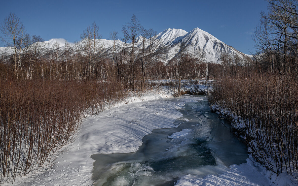 ... - Жора Житников