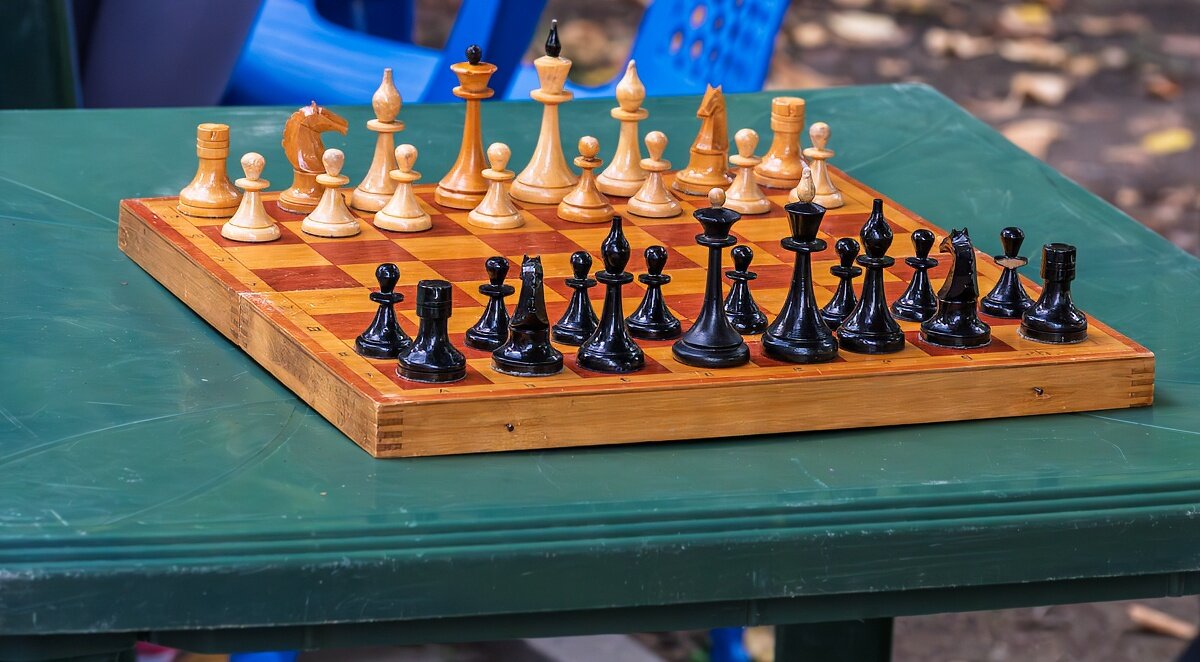 Шахматы - Игорь Сикорский