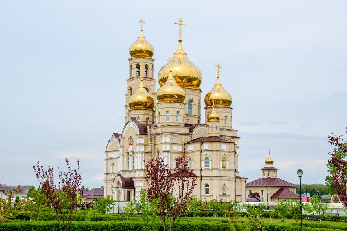 ----- - Галина Ложечникова