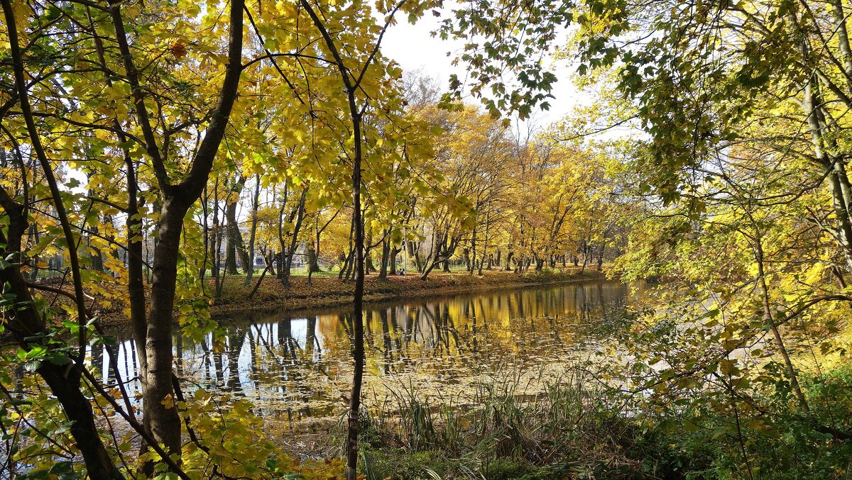 Живописный наряд осенних листьев - Рита Симонова