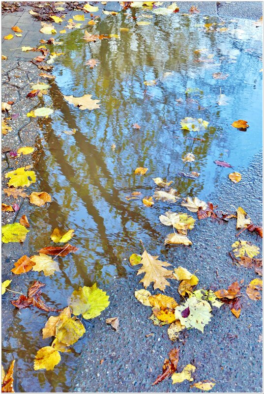 ОСЕНЬ... - Elvira E. 