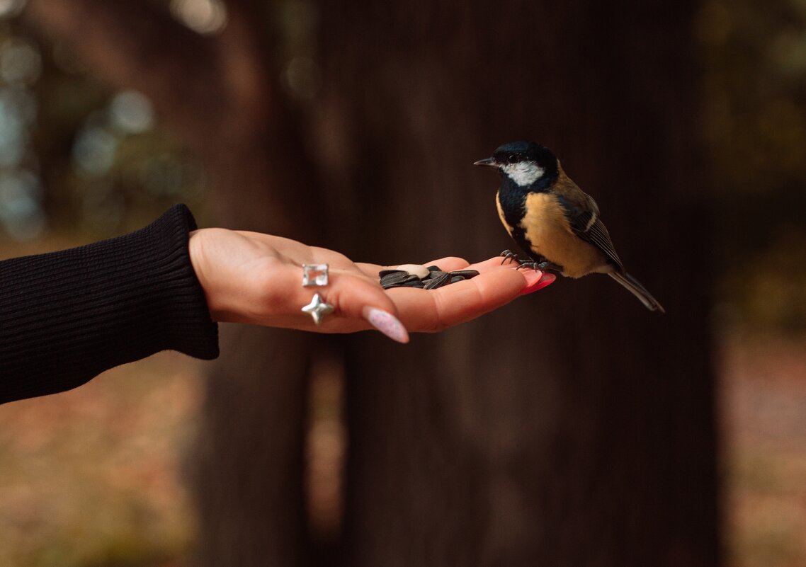 ***** - Николай Шерстнев