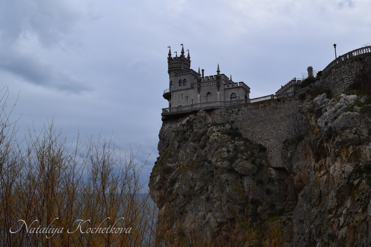Природа Крыма - Amazing Cosmea