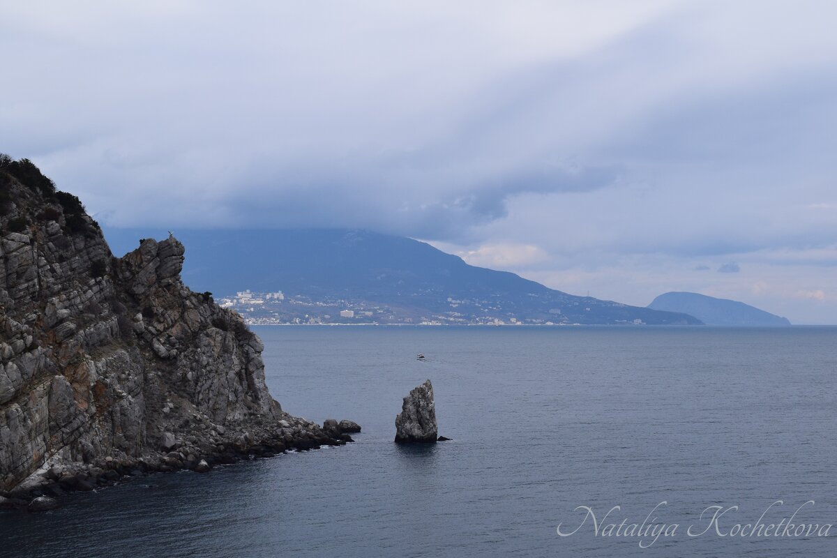 Природа Крыма - Amazing Cosmea