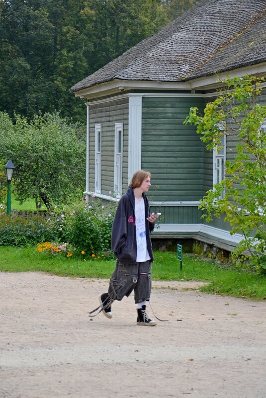 МИХАЙЛОВСКОЕ. - Виктор Осипчук