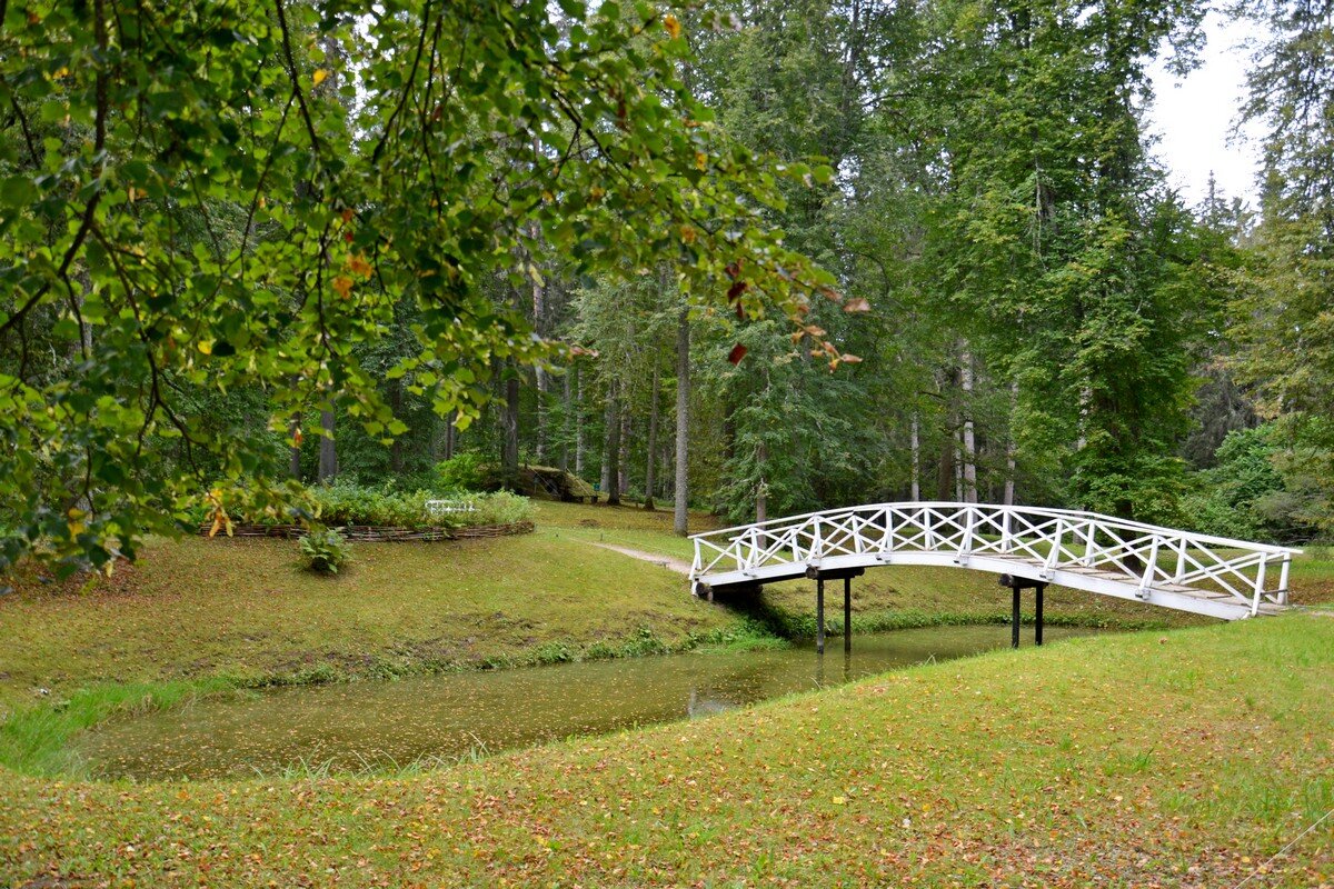 МИХАЙЛОВСКОЕ. - Виктор Осипчук
