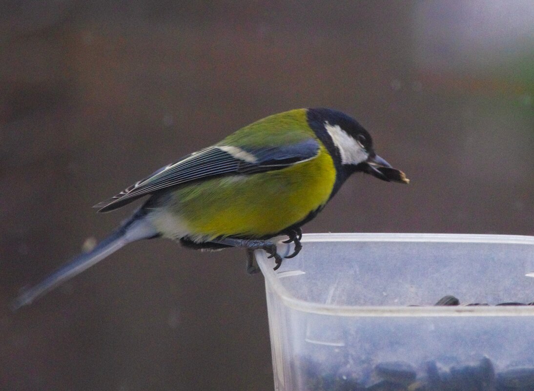 Пасмурно, увы... - Юрий Куликов