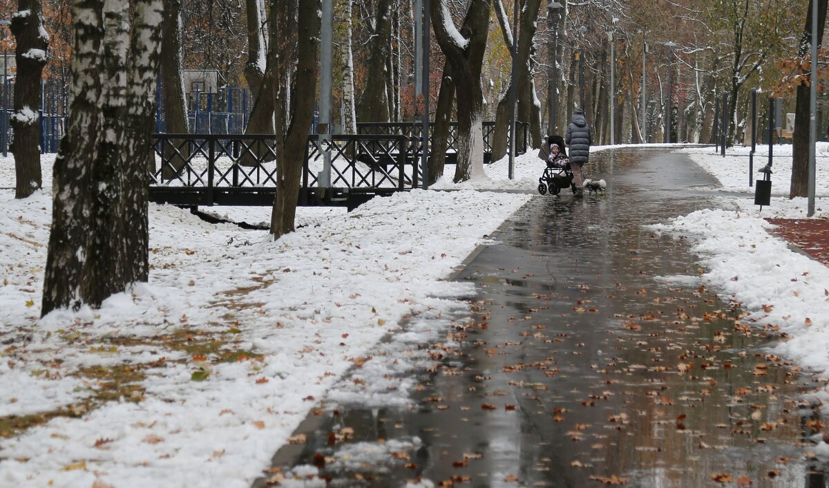 Первый снег - ZNatasha -