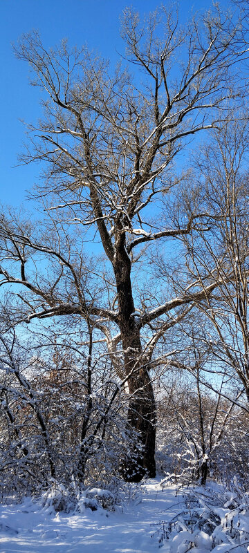 Прекрасный день!!! - Радмир Арсеньев