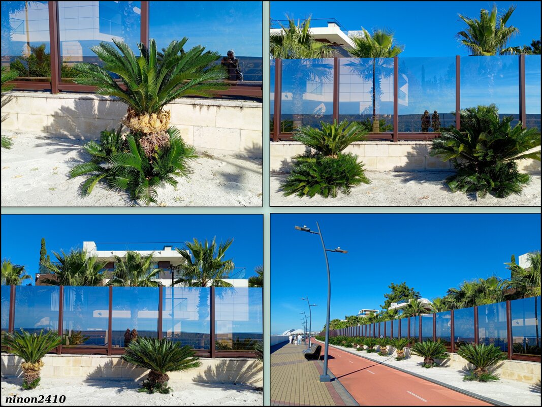 Адлер. Имеретинская (Олимпийская) набережная - Нина Бутко Адлер. Имеретинская (Олимпийская) набережная - Нина Бутко