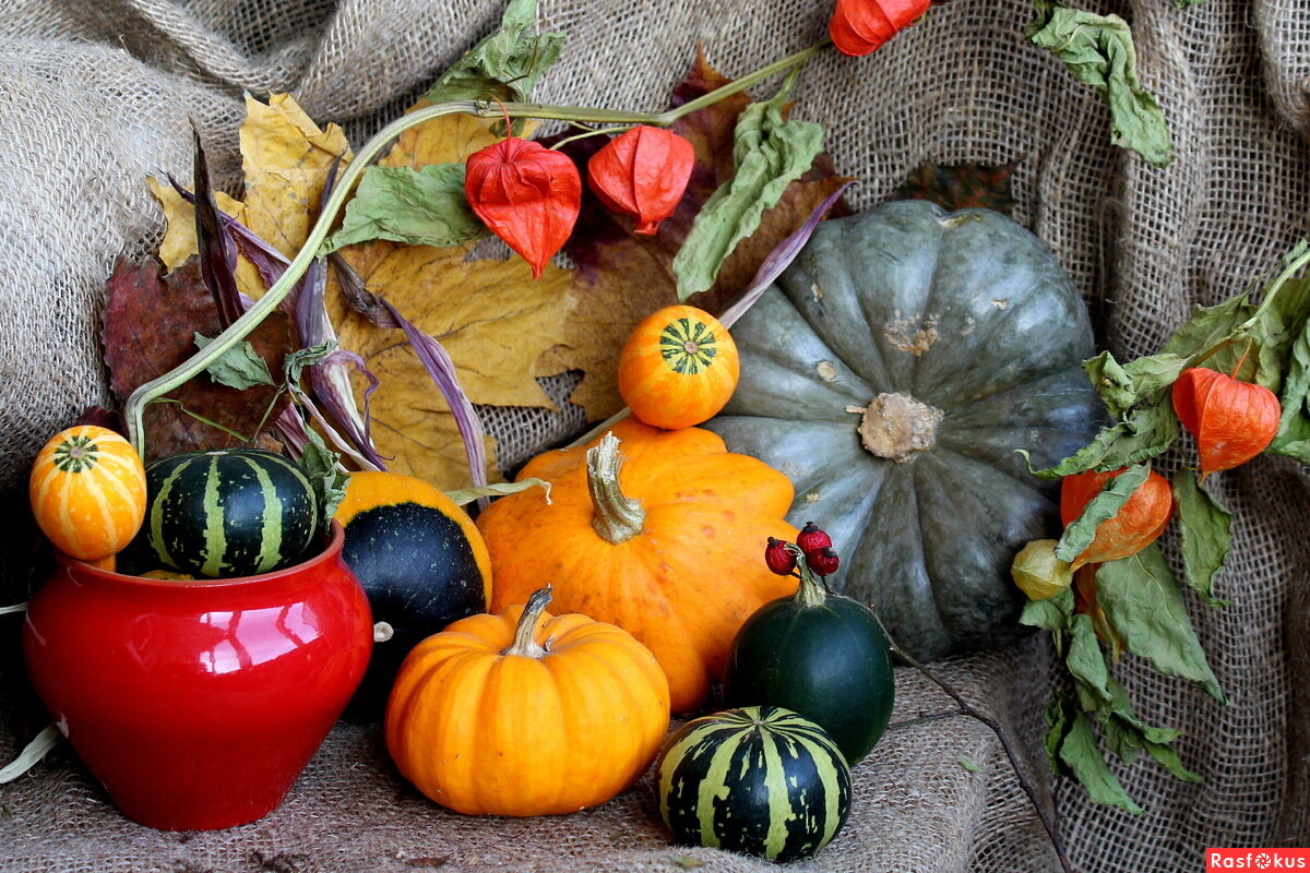 Натюрморт. - жанна нечаева