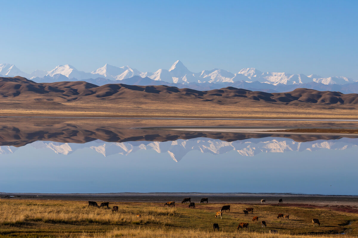 Тянь-Шань - Андрей Щукин