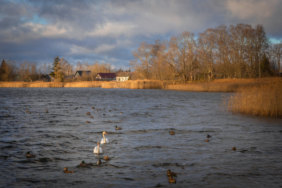 **** - Елизавета .