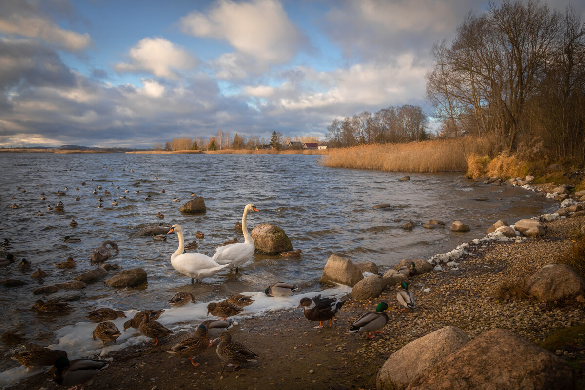 **** - Елизавета .