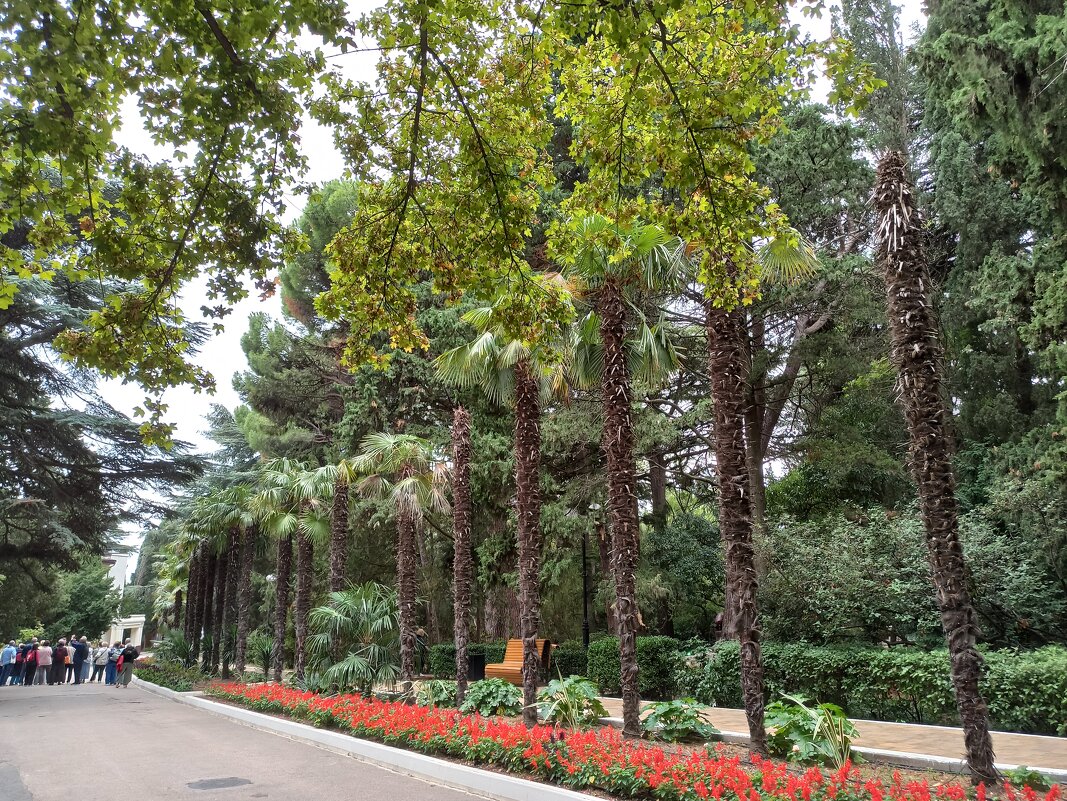 В Гурзуфском парке. Крым. - Галина 