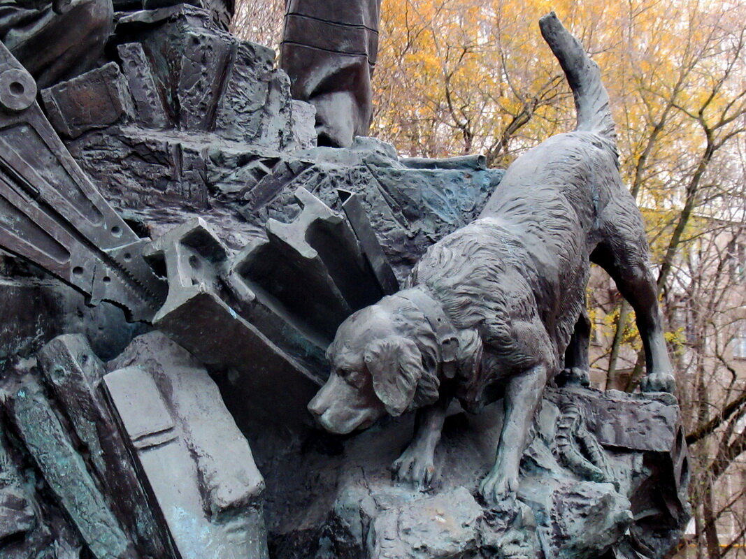 Спасатель - Александр Чеботарь