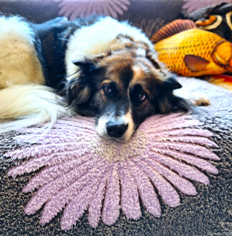 Ося - Наталья 