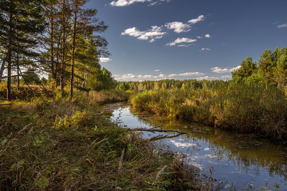 Бабье лето - Barguzin_45 Иваныч