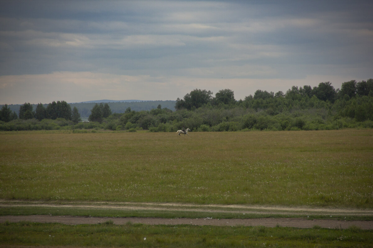 Всадник - Nataliya Belova Всадник - Nataliya Belova