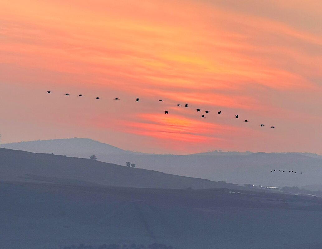 Две поэмы - Александр Деревяшкин