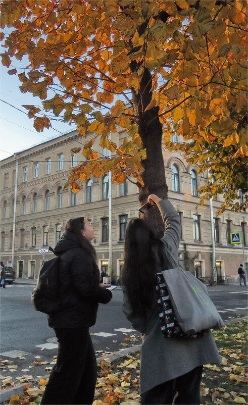 уходящая осень, ушедшая 2 - sv.kaschuk 