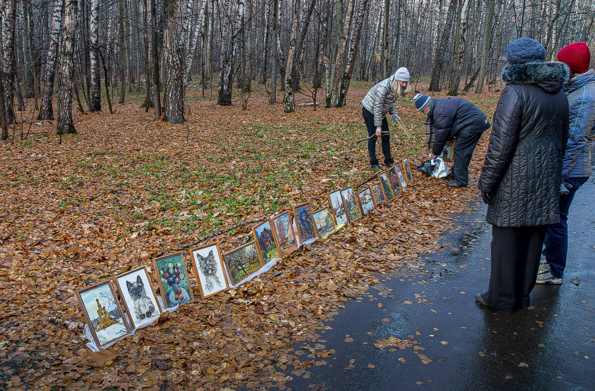 Битцевский лесопарк. - Aleksey Afonin