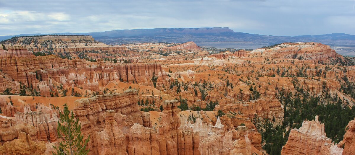 Чудеса природы - Владимир Соколов (svladmir)