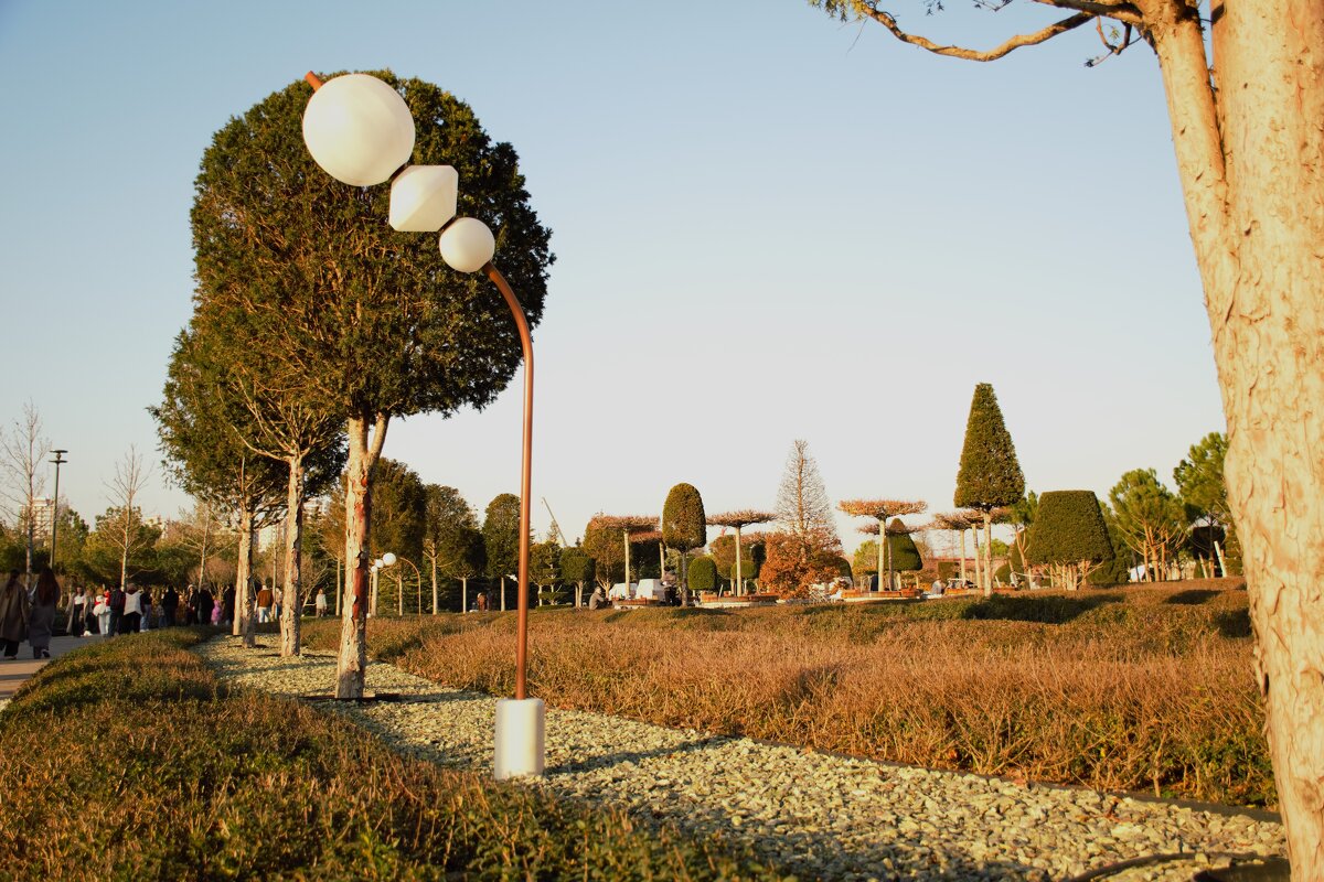 Фонари. - Юрий Полторыхин.