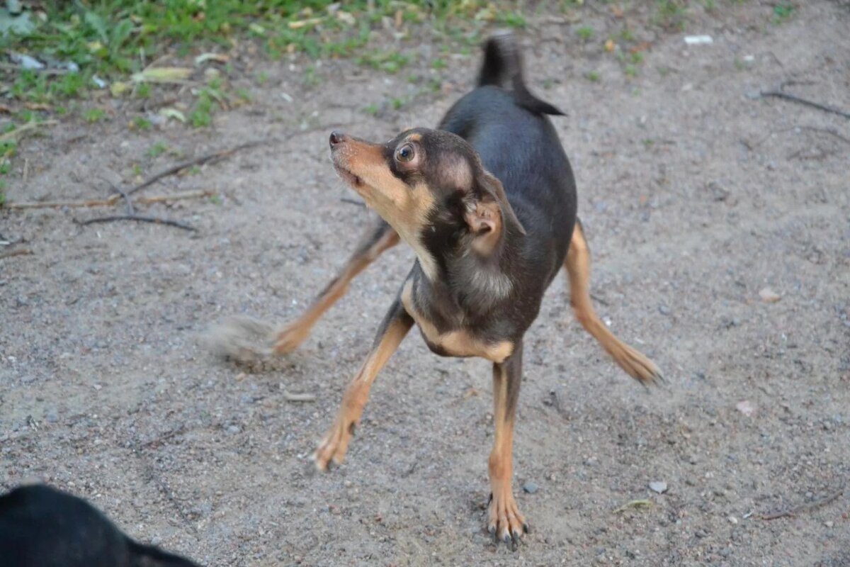 Экстренное торможение - Надежда 