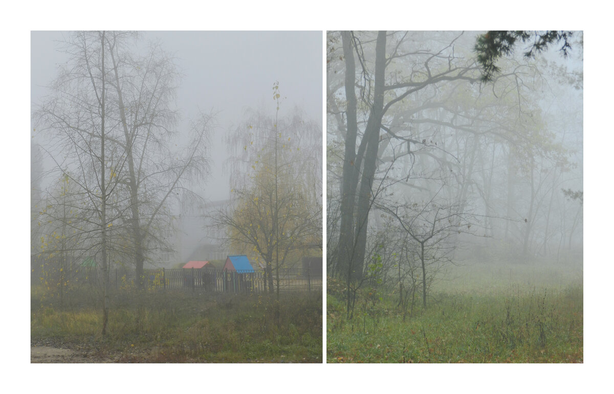 туманная осень - Лера 