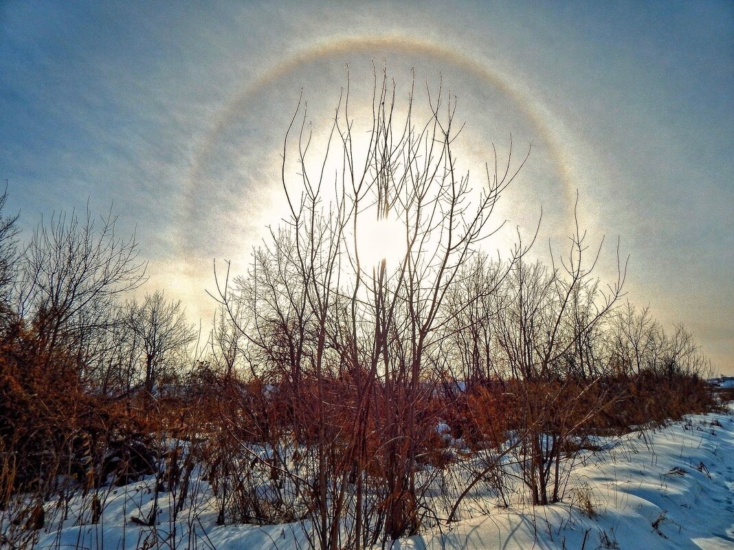 Рассветное ГАЛО! - Елена Хайдукова  ( Elena Fly )