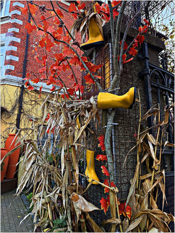 Осенняя инсталляция. - Валерия Комова Осенняя инсталляция. - Валерия Комова