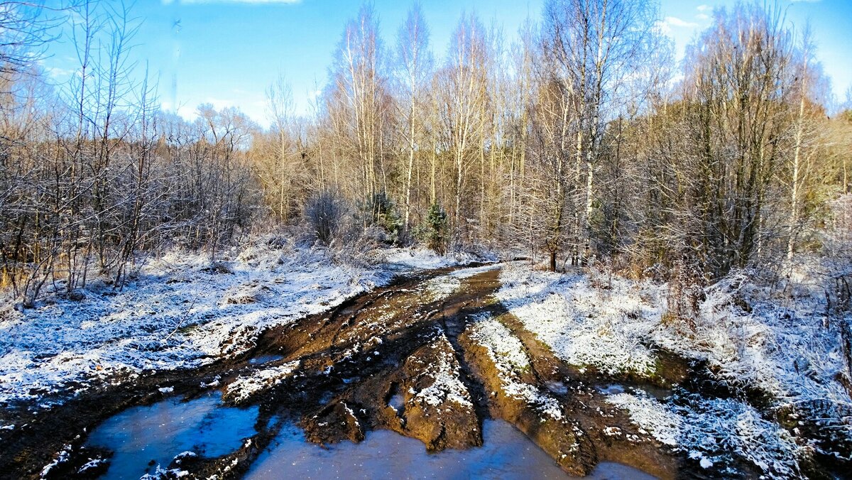 Природа в конце ноября (поход за фотосюжетами). - Милешкин Владимир Алексеевич 