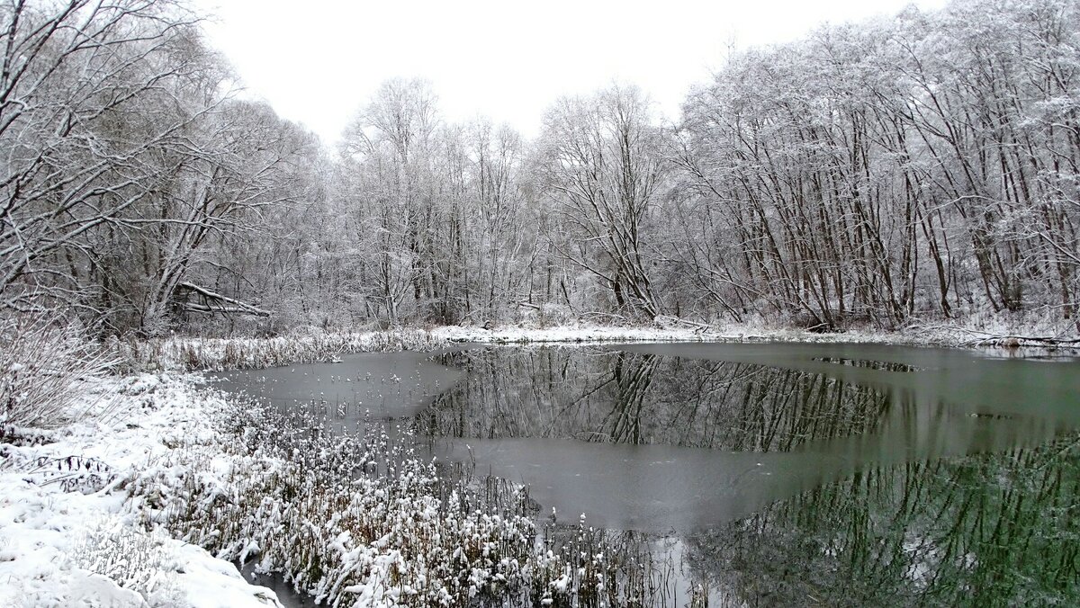 Замерзающее озеро (репортаж из поездок по области). - Милешкин Владимир Алексеевич 