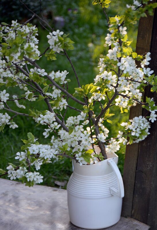 И был май... - Алексей Дмитриев