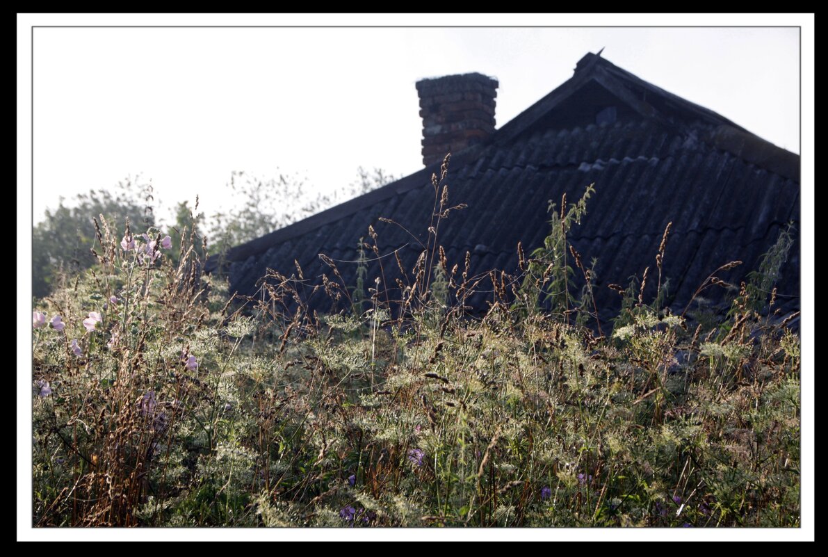 */*/* - Алексей Дмитриев