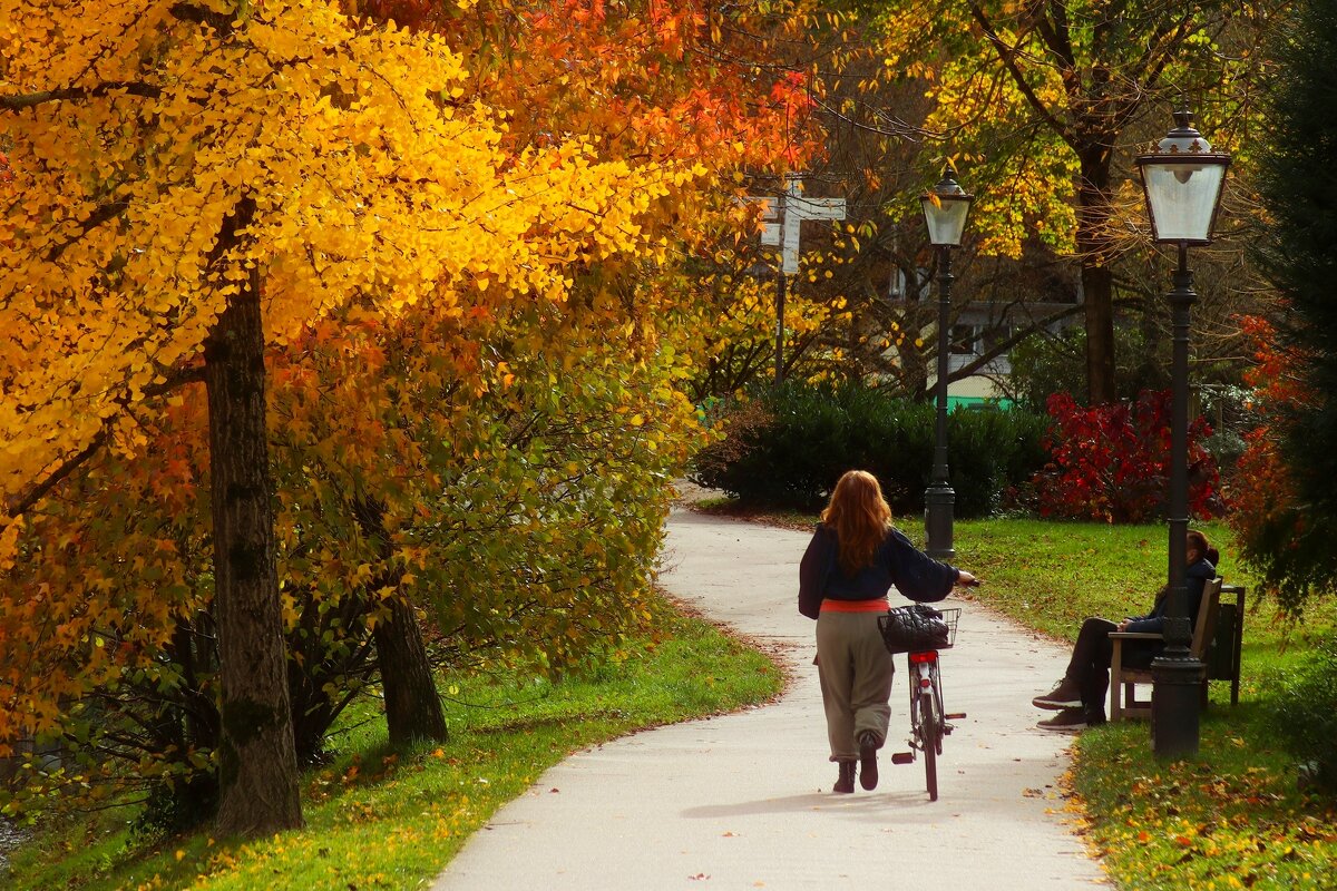 Осенние прогулки - Юрий. Шмаков