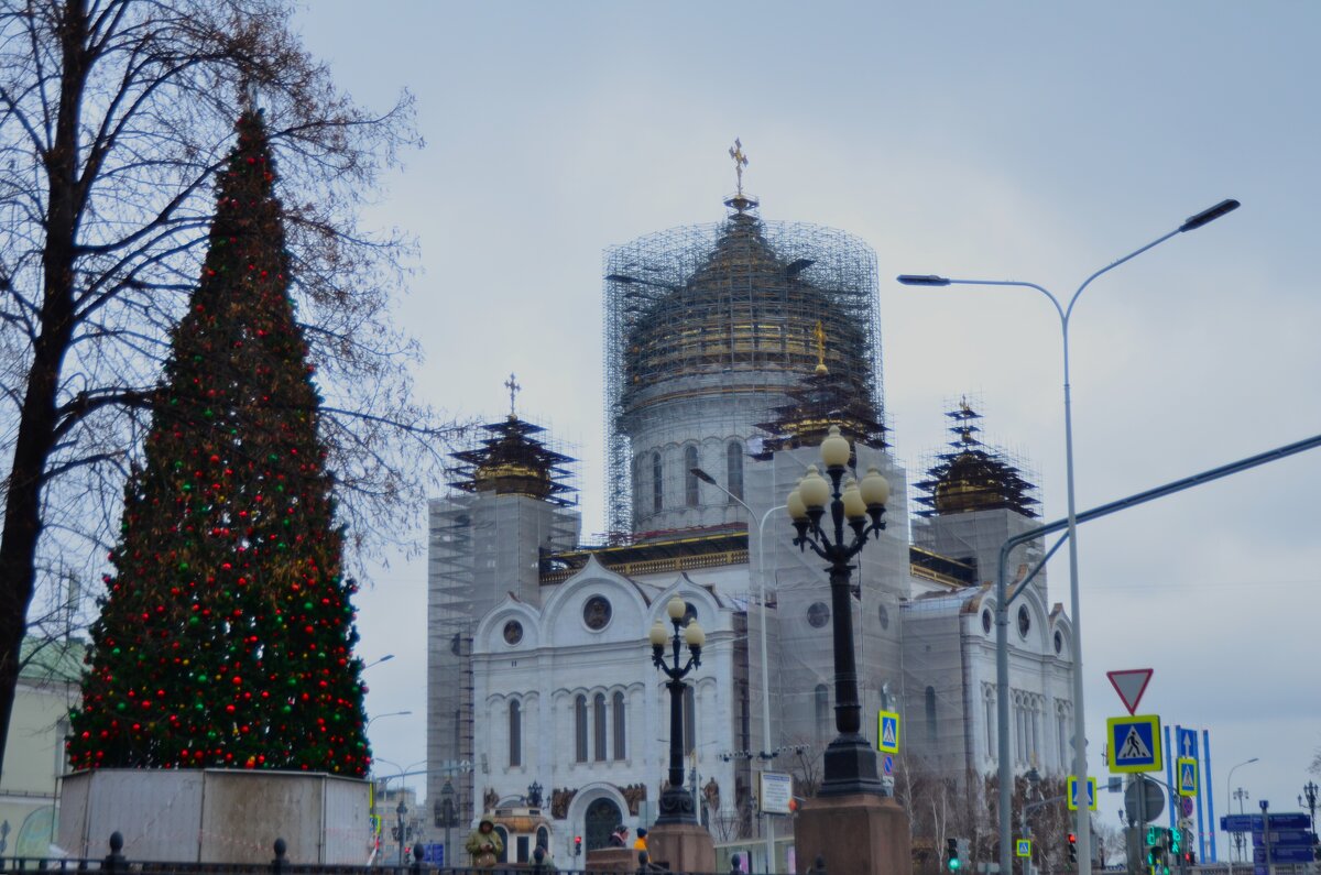 Реставрация. - Наталья Вязигина