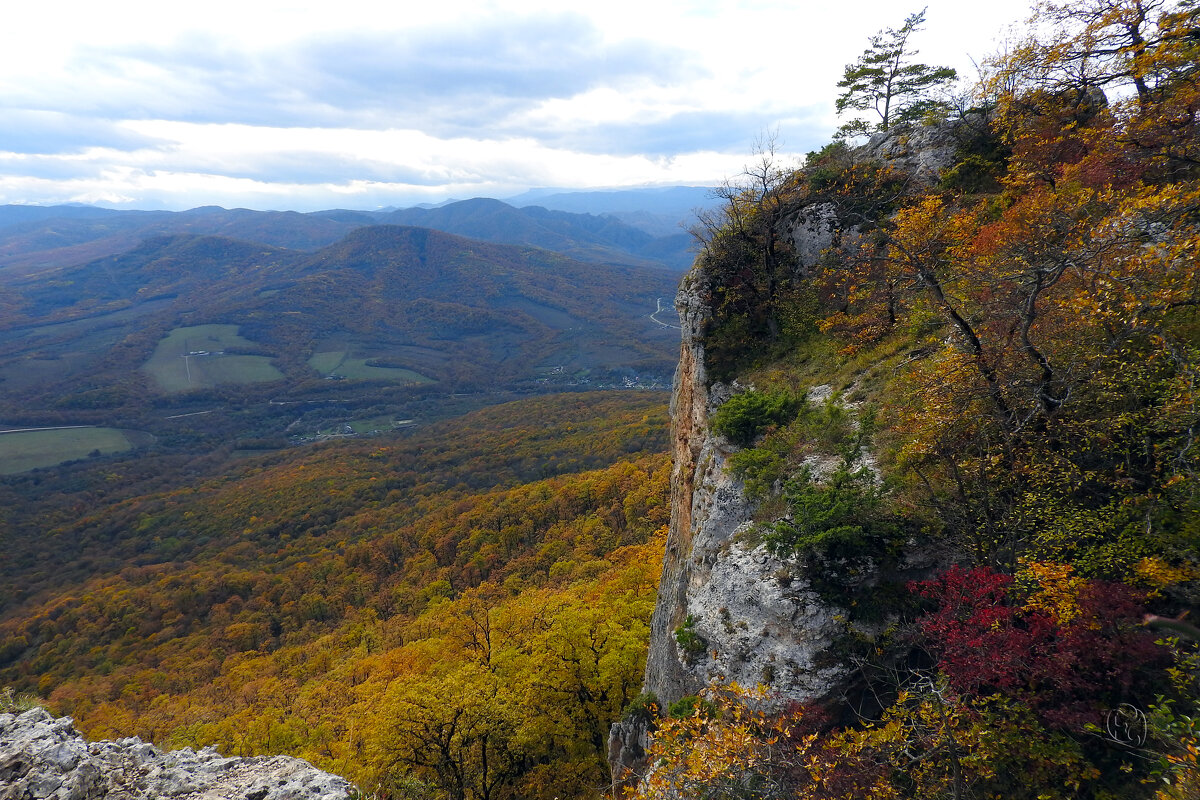 обзор - Юрий Словецкий