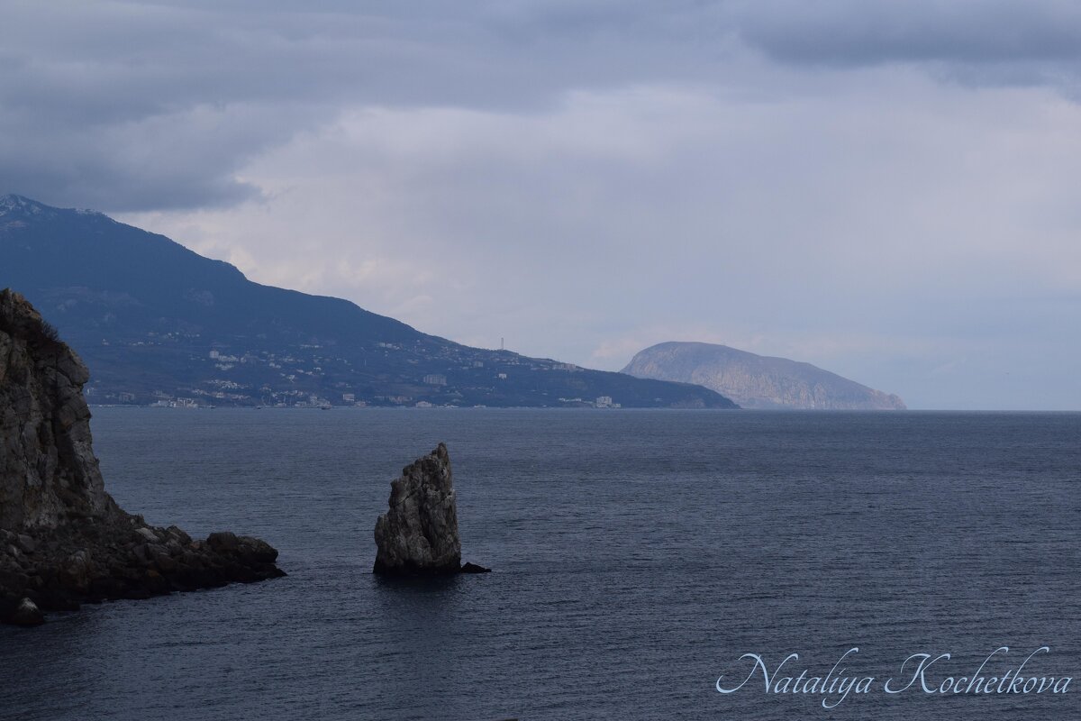 Природа Крыма - Amazing Cosmea