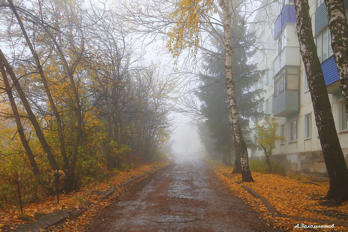 Про туманы осенние.. - Андрей Заломленков