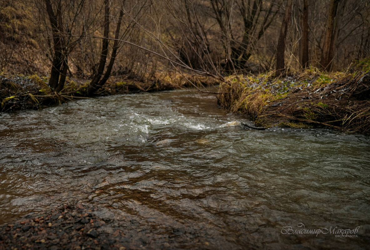 "Кукшум. Канун декабря"© Фоторабота. - Владимир Макаров