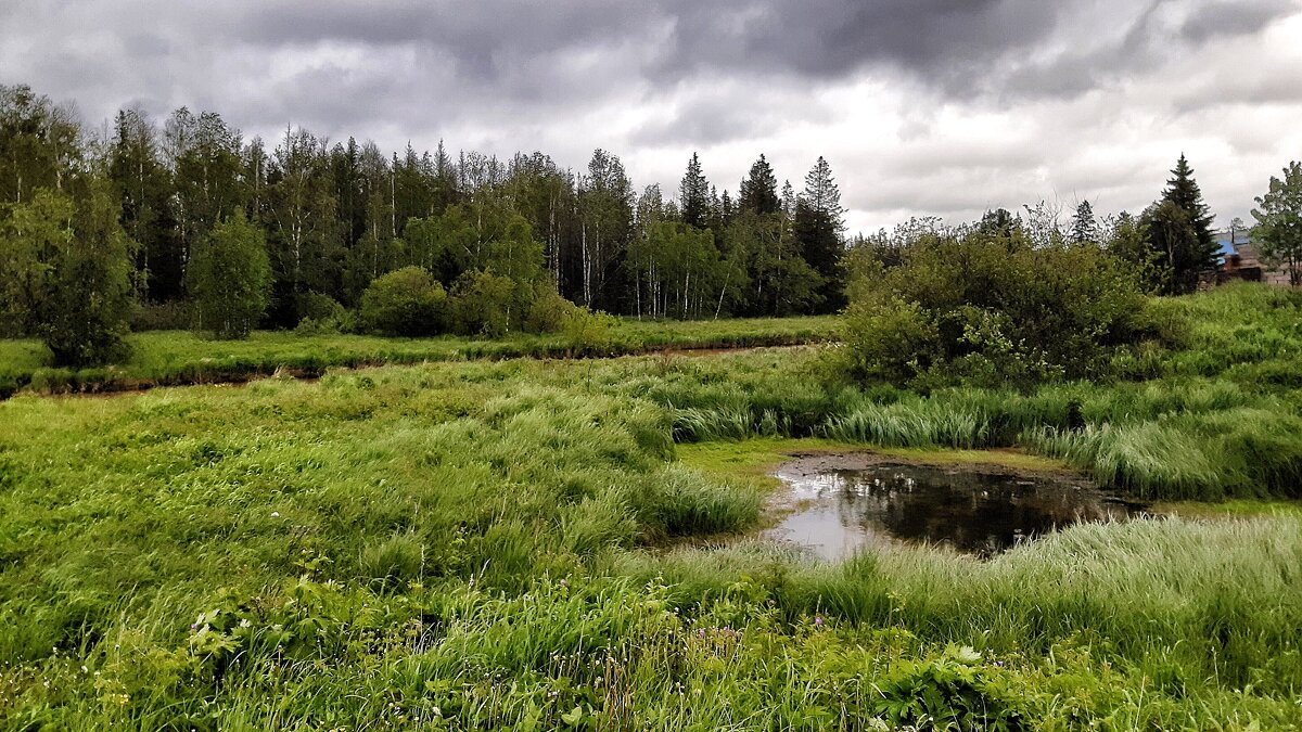 И шум зелёный я люблю, и облаков люблю лоскутья - Hope И шум зелёный я люблю, и облаков люблю лоскутья - Hope