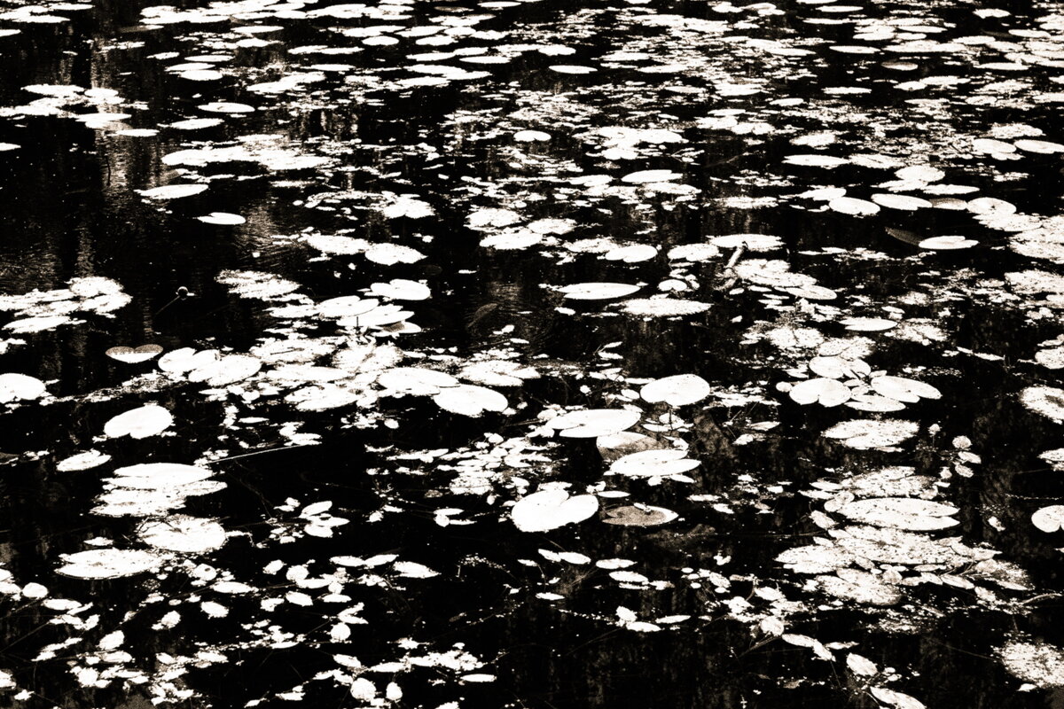 Фотография - Денис Безногов