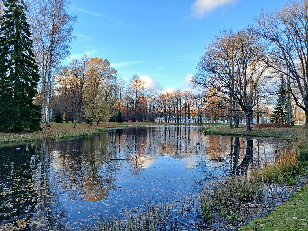 Пейзаж с отражением. - Лия ☼