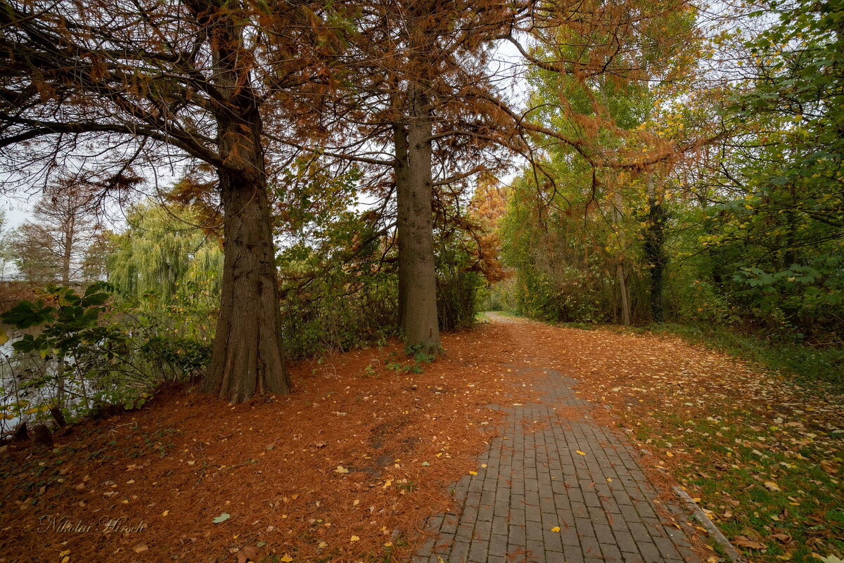 Время рыжих... - Николай Гирш