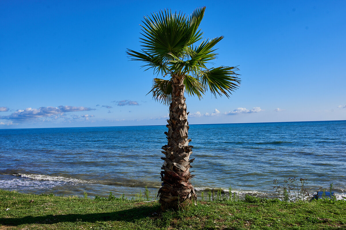 Абхазия - Александр Леонов