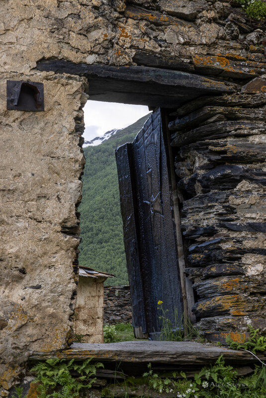 **** - Алексей Соловьев